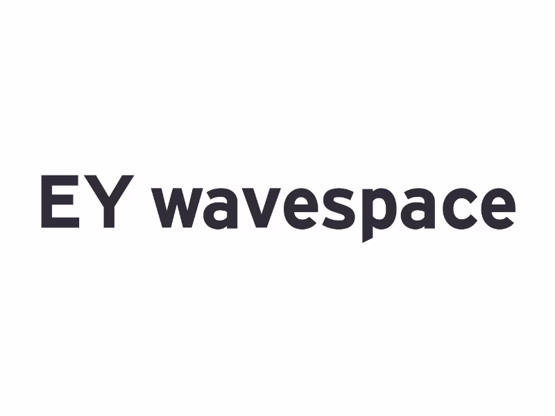 EY wavespace